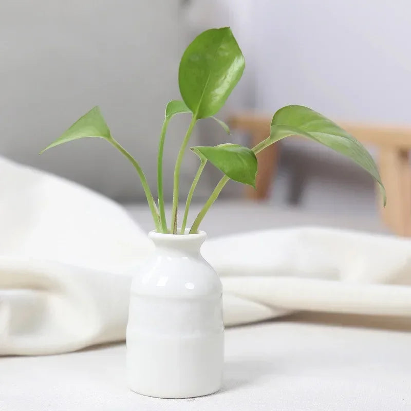 Little Buddies Bud Vase
