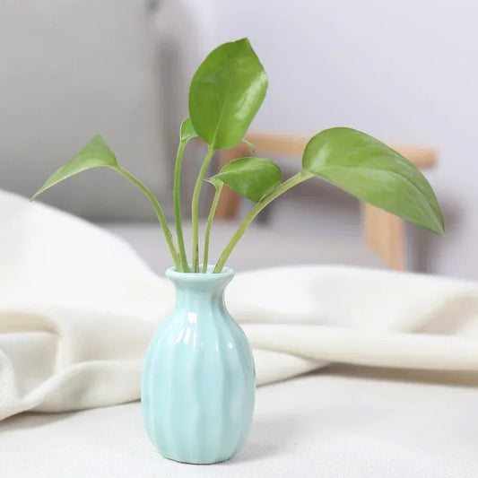 Little Buddies Bud Vase