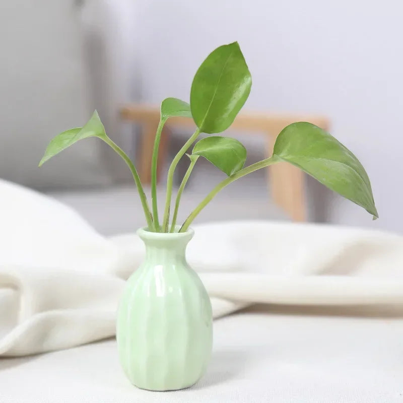 Little Buddies Bud Vase