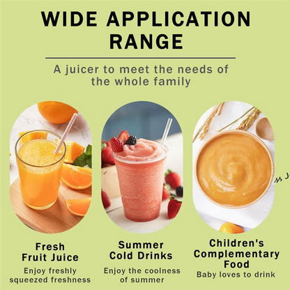 Portable Electric Juice Cup Multi-function Fruit Juicer