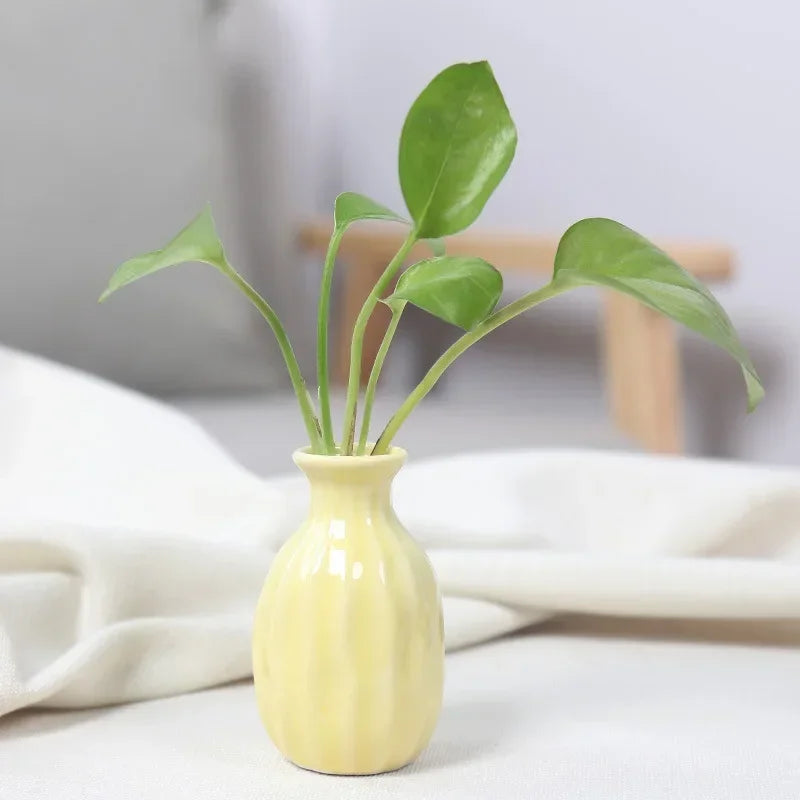Little Buddies Bud Vase